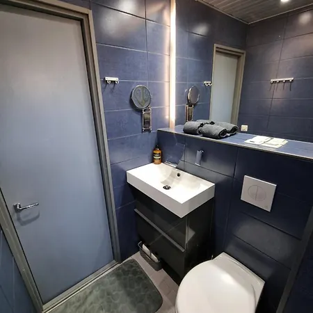 Gem With Sauna - Big Two-room Free Parking 公寓 坦佩雷